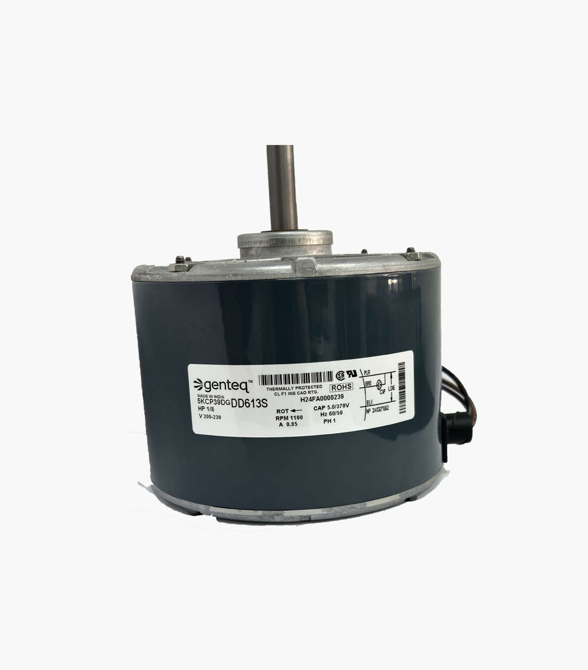 DD613